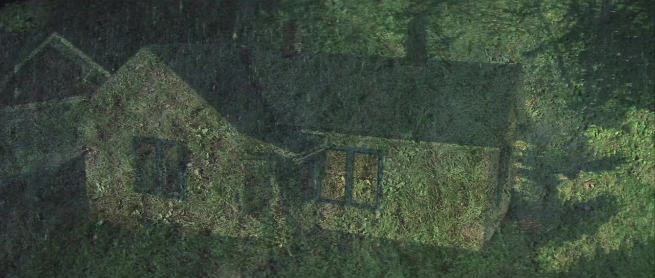 The Straight Story screenshot 2