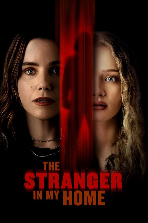 The Stranger in My Home (2025) poster