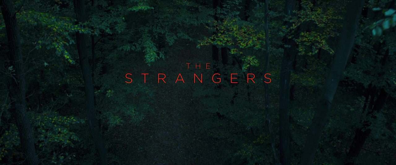 The Strangers: Chapter 1 screenshot 1
