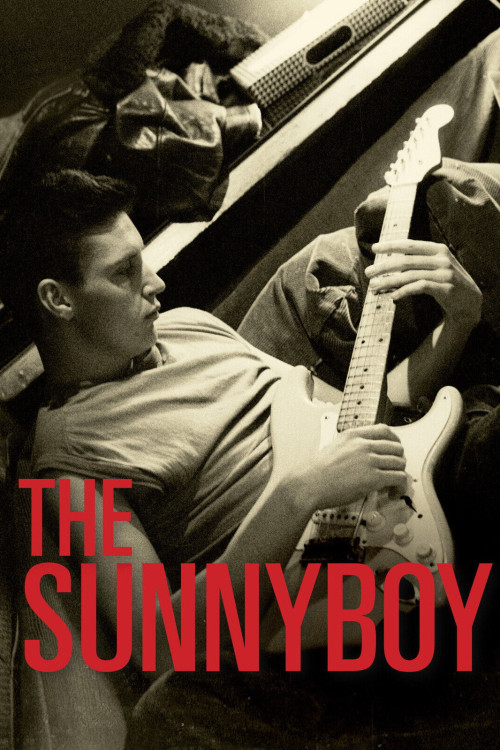 The Sunnyboy (2013) poster