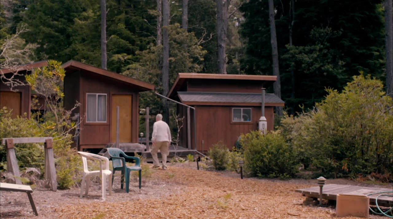 The Sunshine Makers screenshot 1
