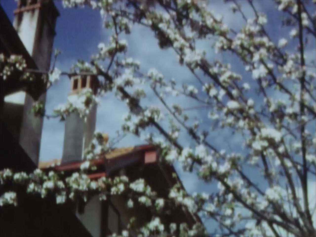 Les années Super 8 screenshot 1