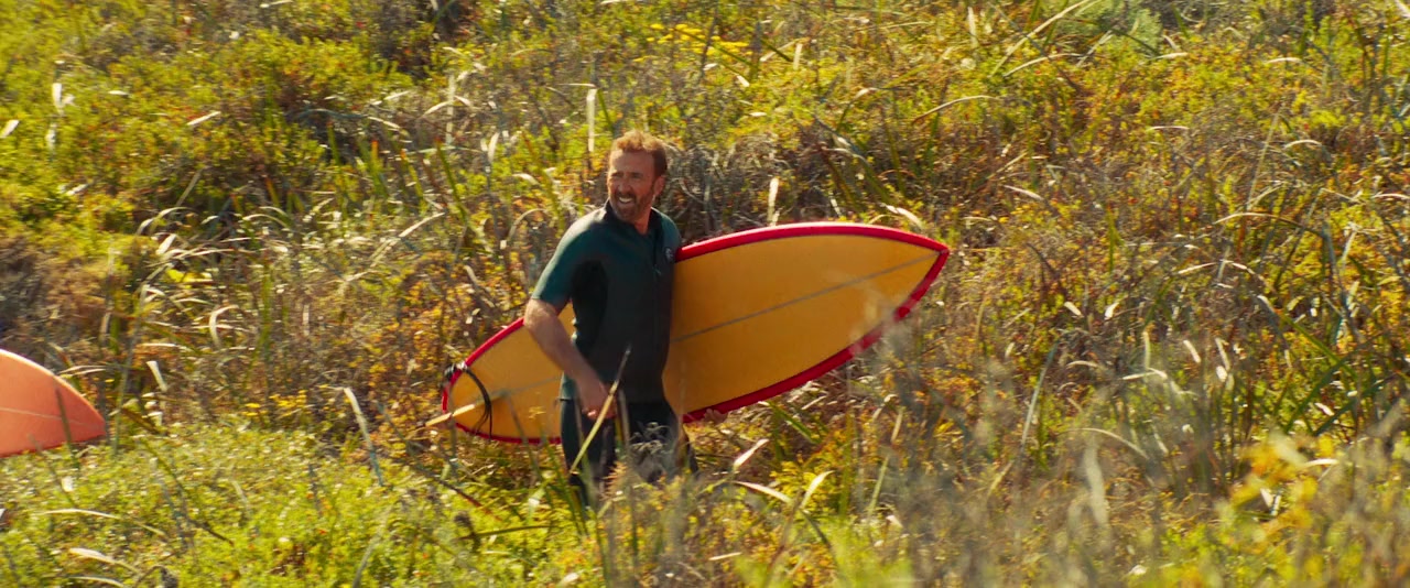 The Surfer screenshot 1