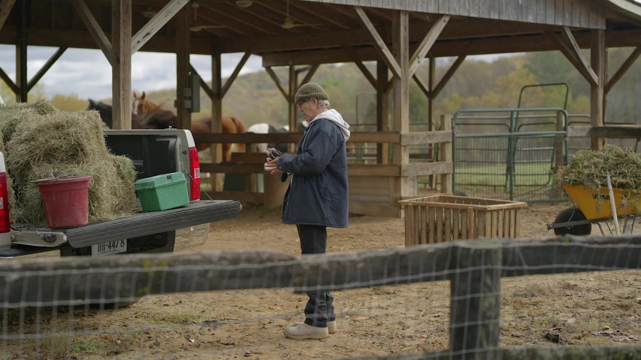 The Surprise Visit screenshot 2