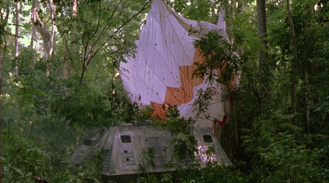 The Survivor screenshot 1