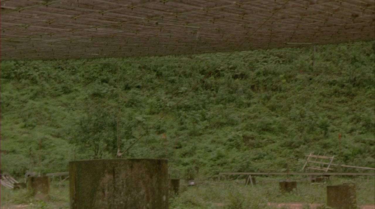 The Survivor screenshot 3