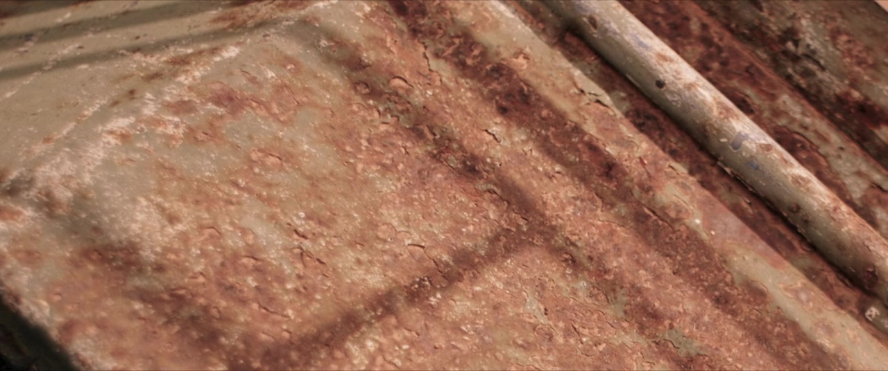 The Survival of Kindness screenshot 3