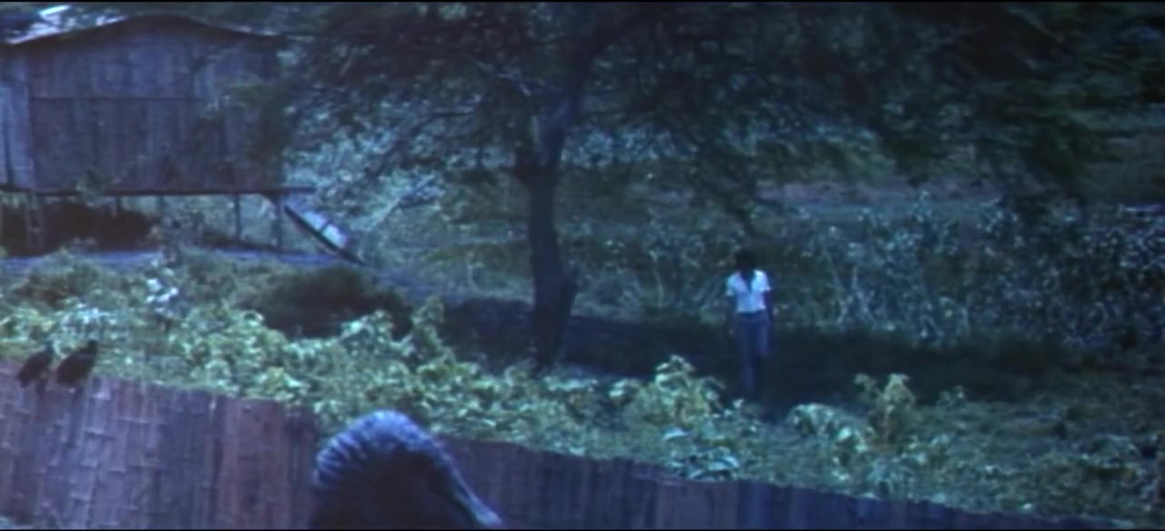 El pantano de los cuervos screenshot 3