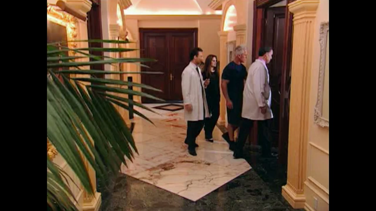 The Swan: Behind the Mirror screenshot 2