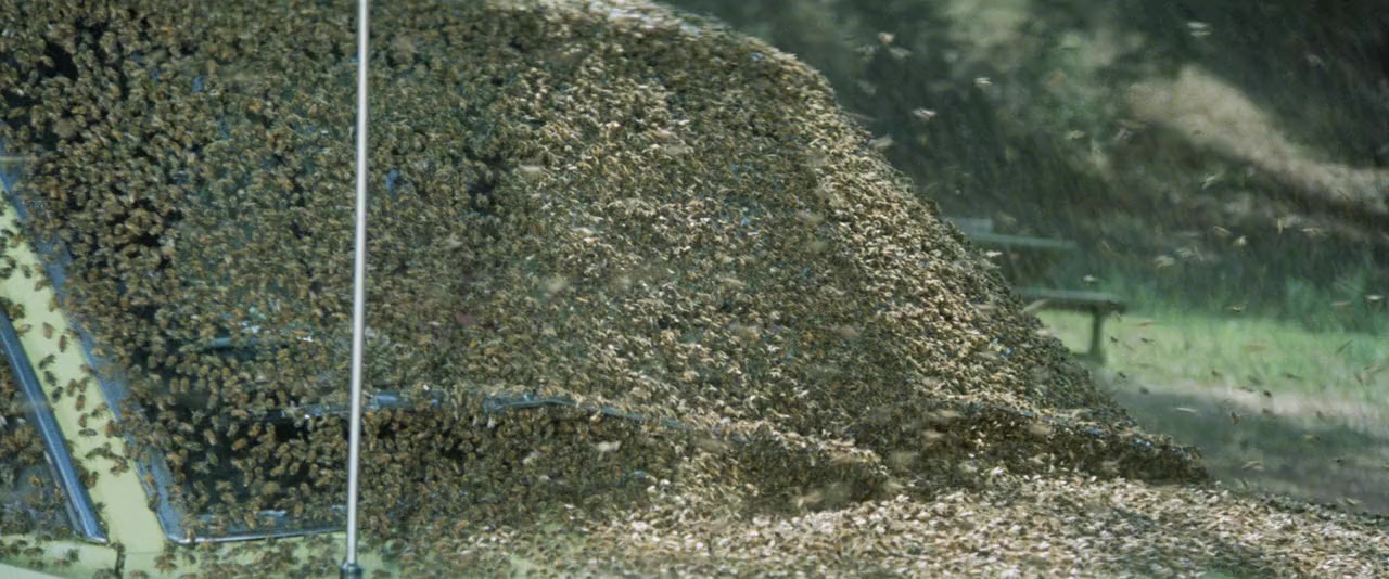 The Swarm screenshot 1