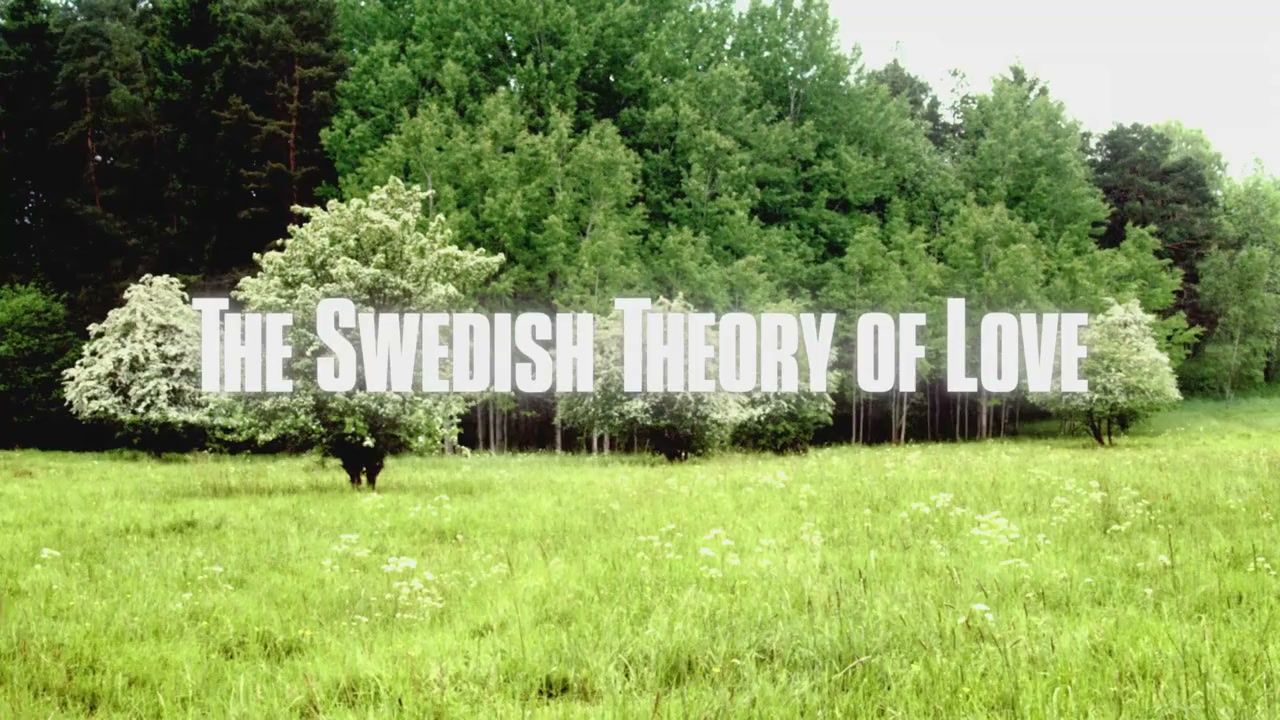 The Swedish Theory of Love screenshot 1