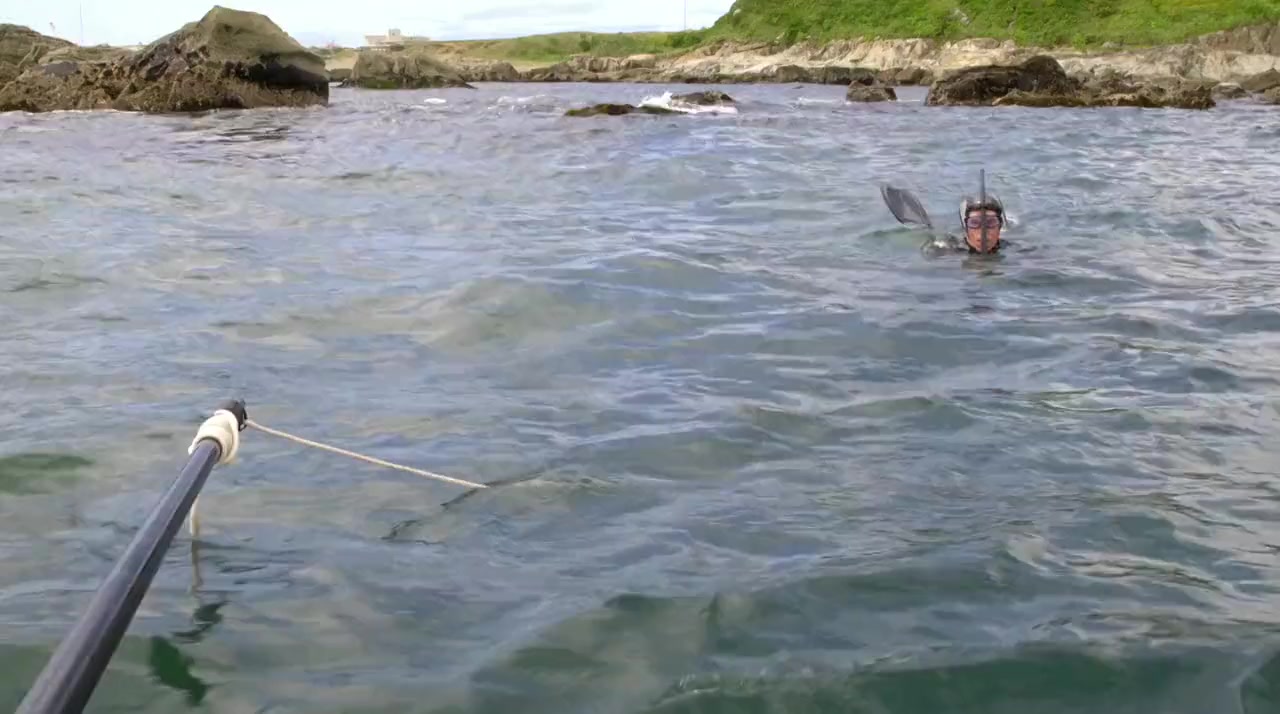 The Swim screenshot 3