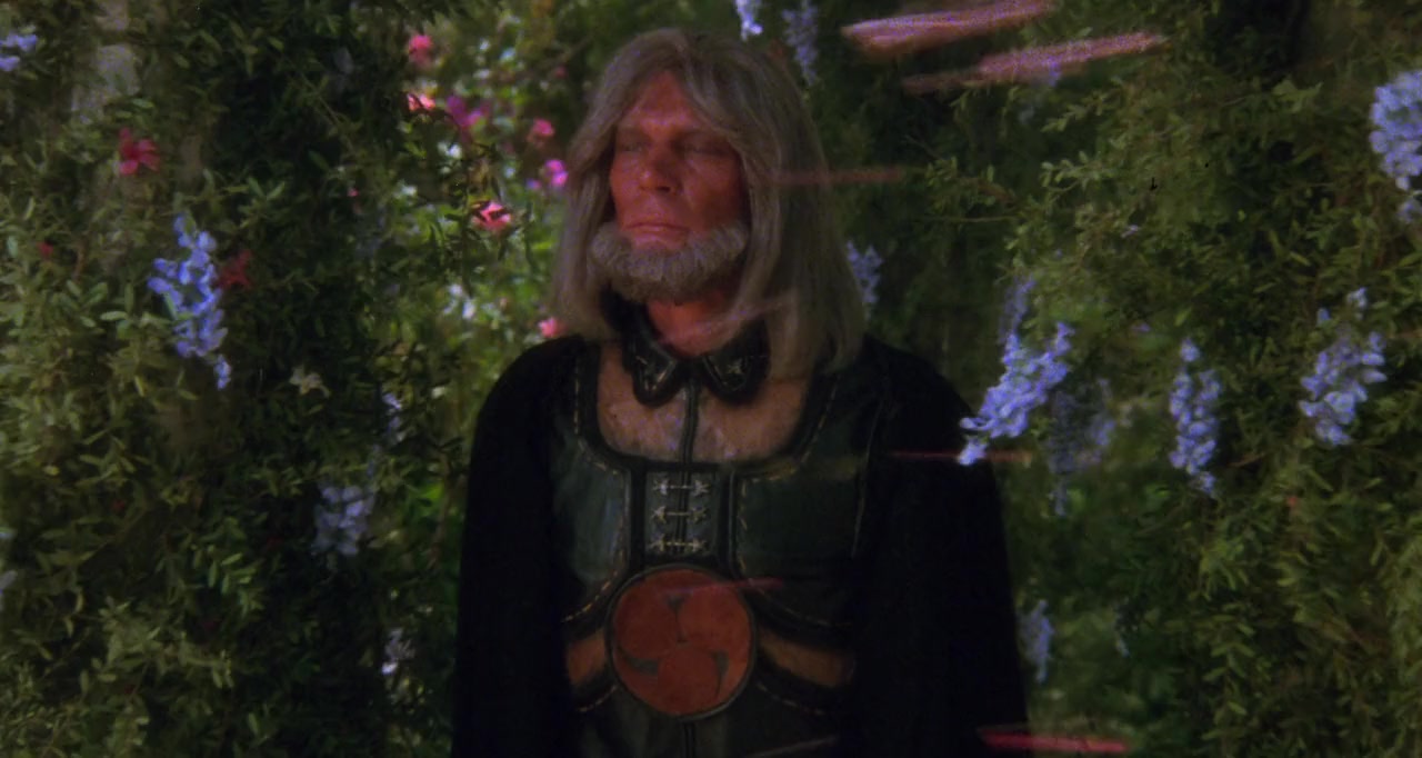 The Sword and the Sorcerer screenshot 3