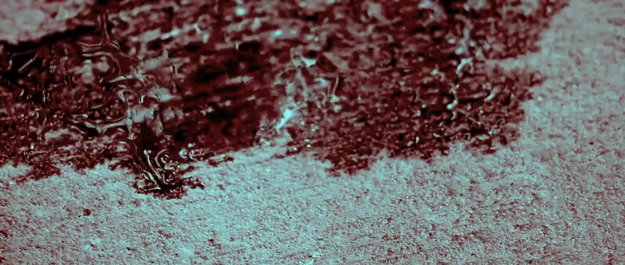 The Sacred screenshot 1