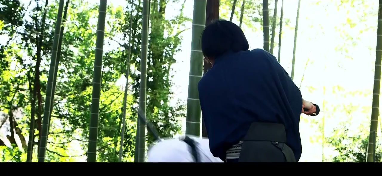 The Samurai screenshot 3