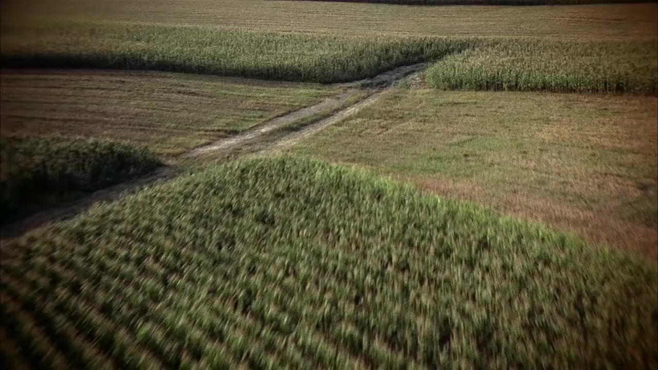 The Scarecrow screenshot 2