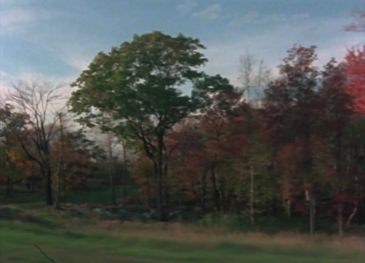The Scenic Route screenshot 3