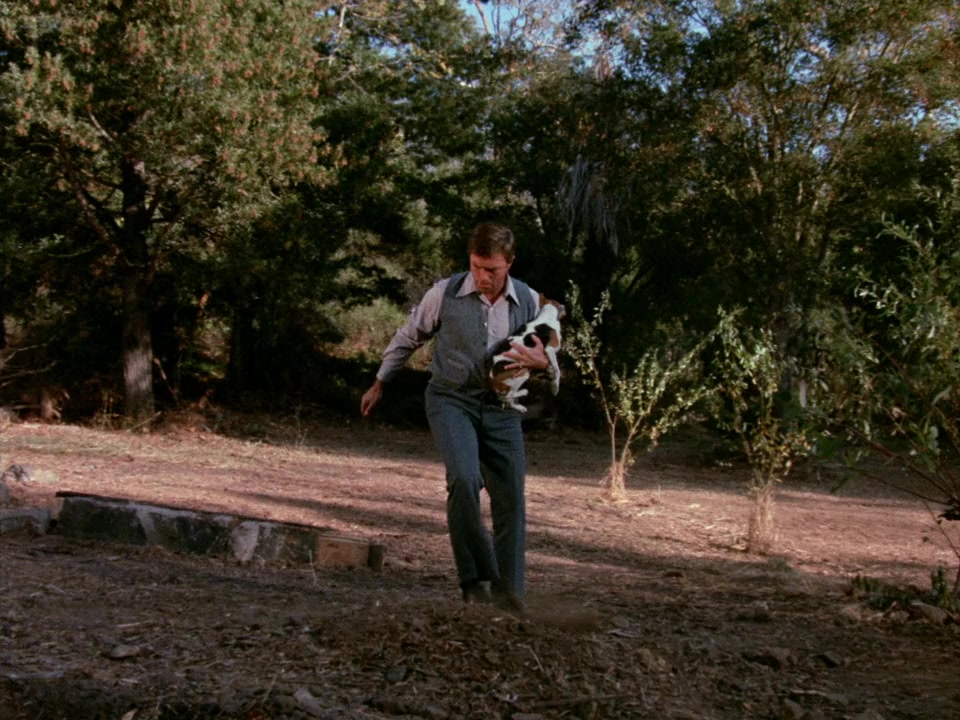 The Screaming Woman screenshot 1
