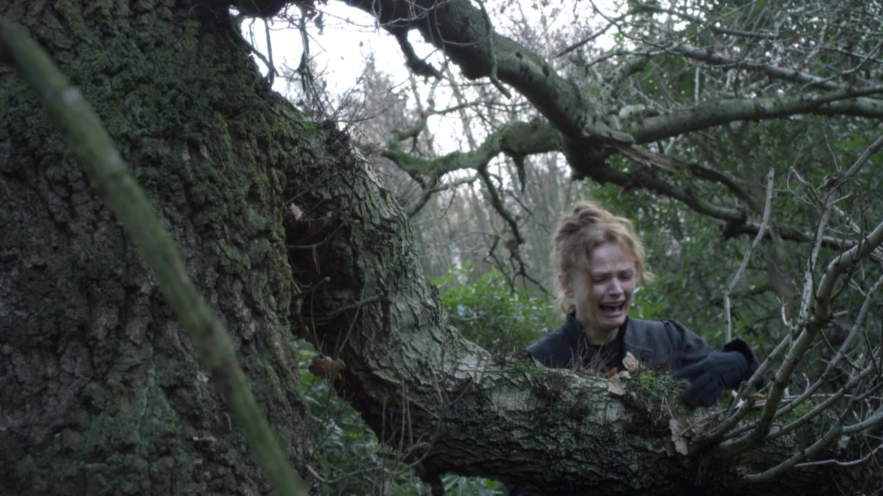 The Secret Diaries of Miss Anne Lister screenshot 2