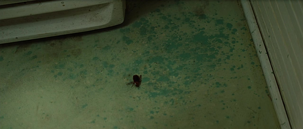 The Secret Life of Bees screenshot 2