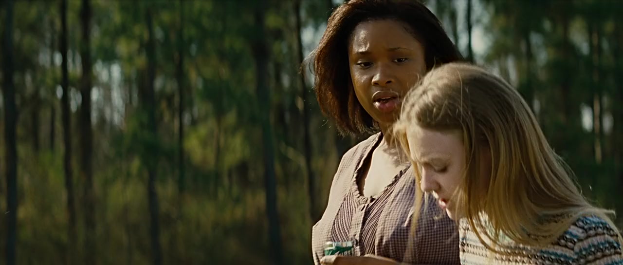 The Secret Life of Bees screenshot 3