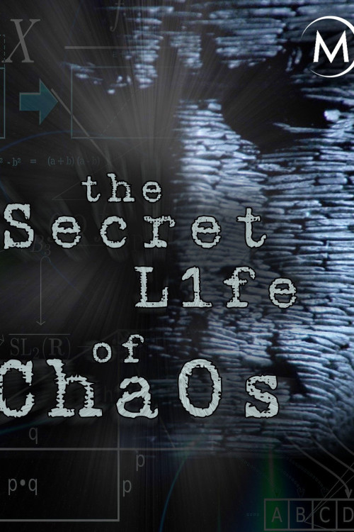 The Secret Life of Chaos (2010) poster
