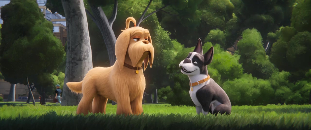 The Secret Life of Pets screenshot 3