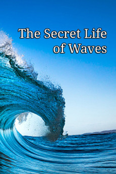The Secret Life of Waves (2011) poster