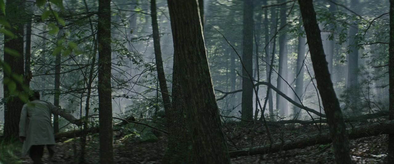 The Sea of Trees screenshot 3