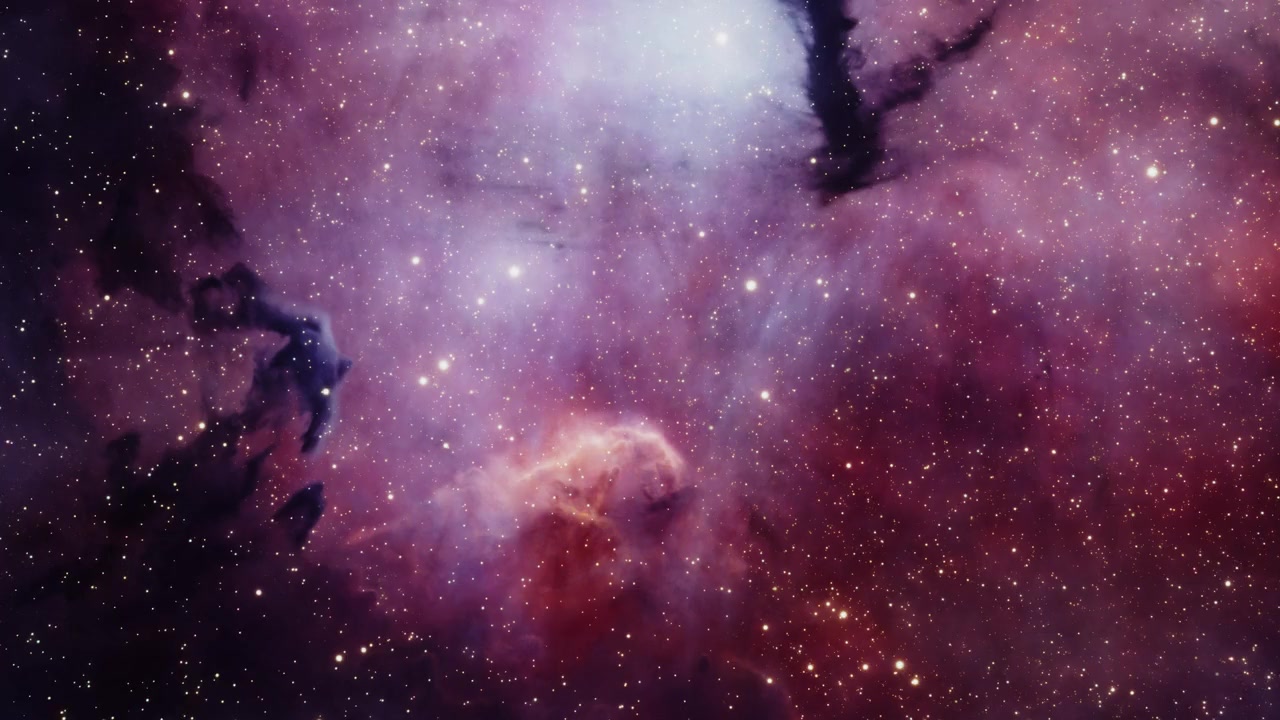 The Search for Life in Space screenshot 3