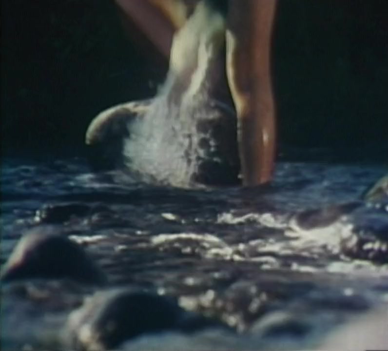 The Searching Eye screenshot 3