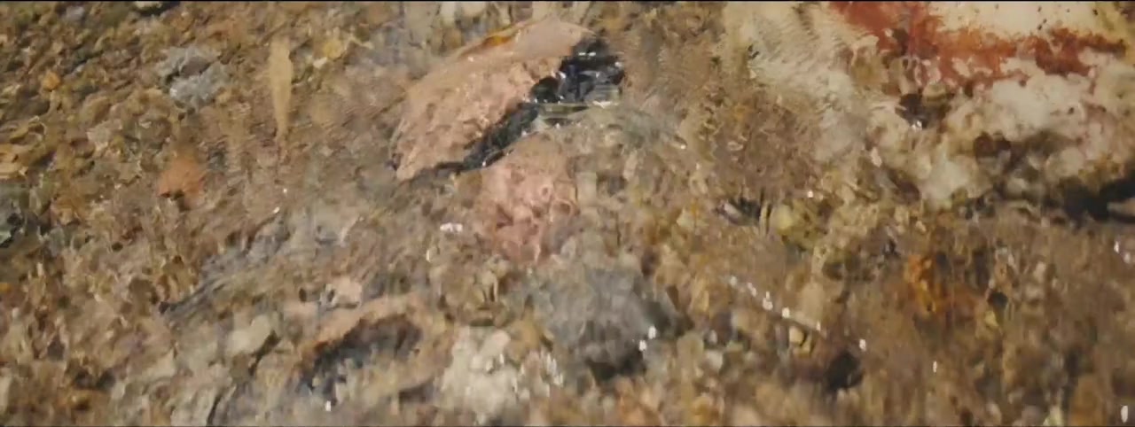 The Seas Between Us screenshot 1