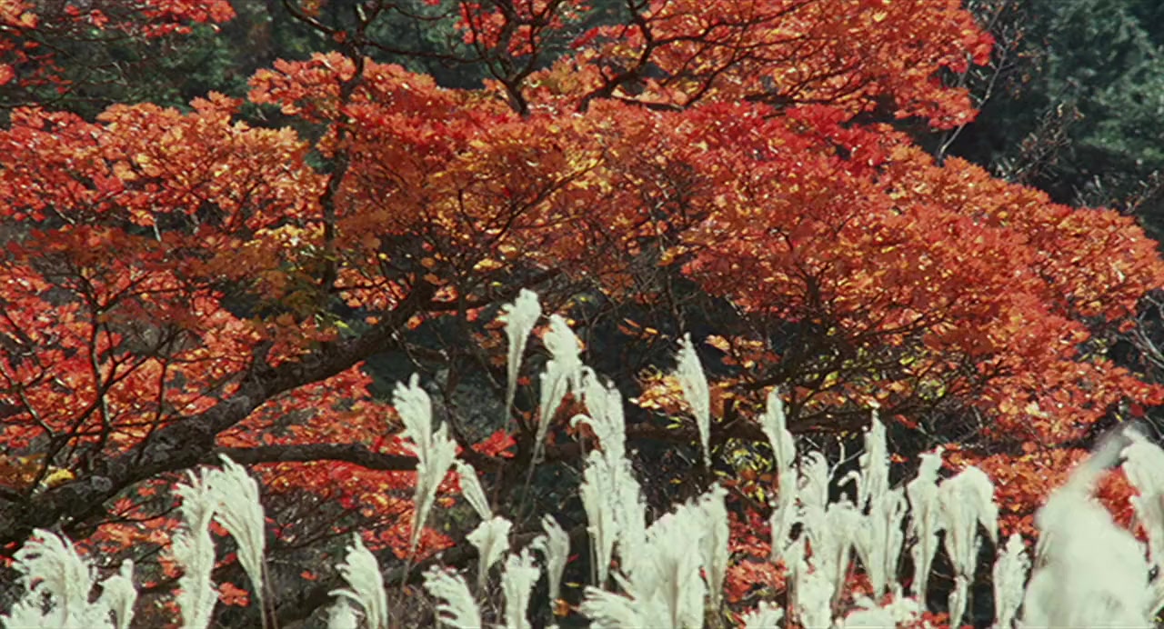 Seburi monogatari screenshot 1