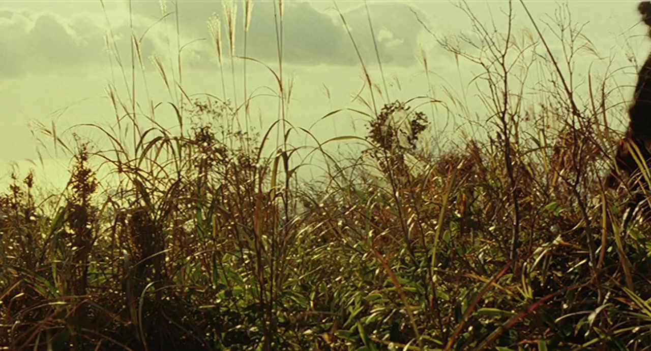 Seburi monogatari screenshot 3