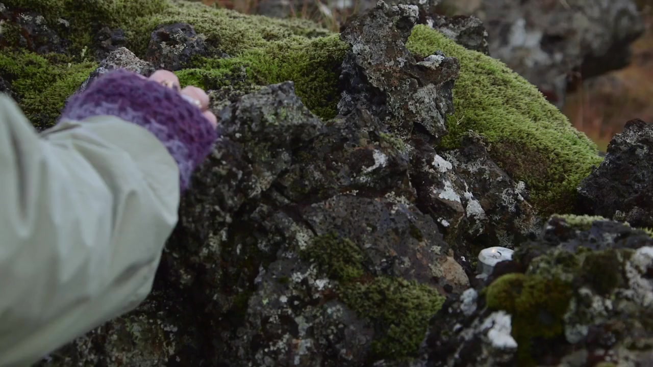 The Seer and the Unseen screenshot 2