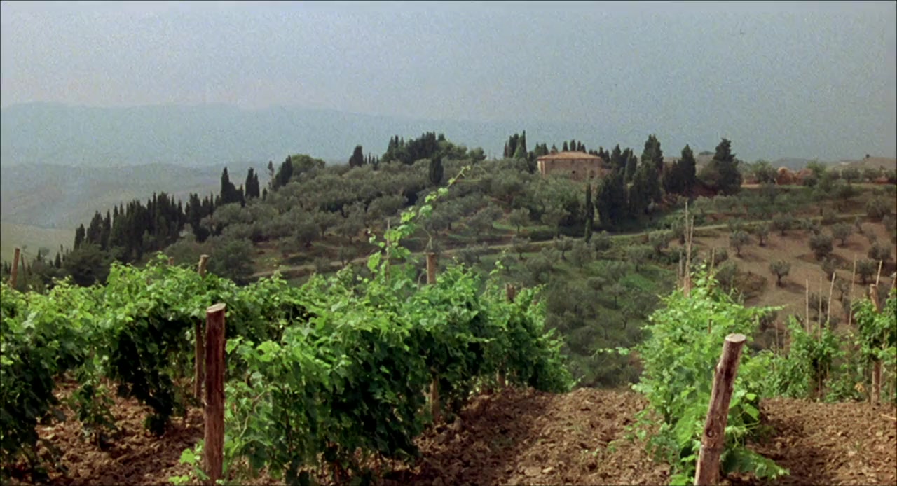 The Sentinel screenshot 1