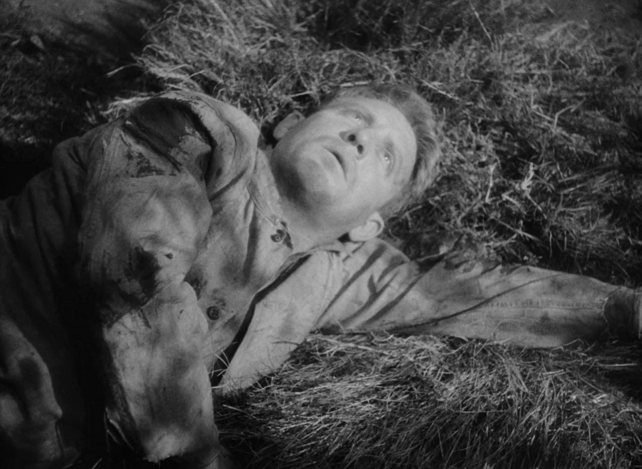 The Seventh Cross screenshot 1