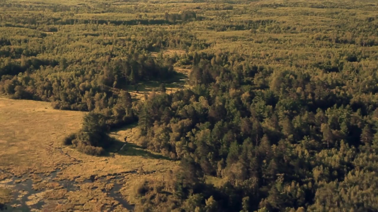 The Seventh Fire screenshot 1