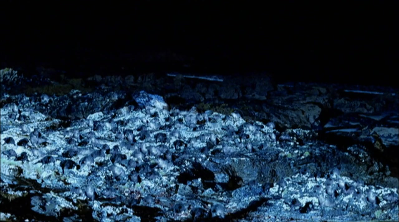 The Seventh Stream screenshot 3