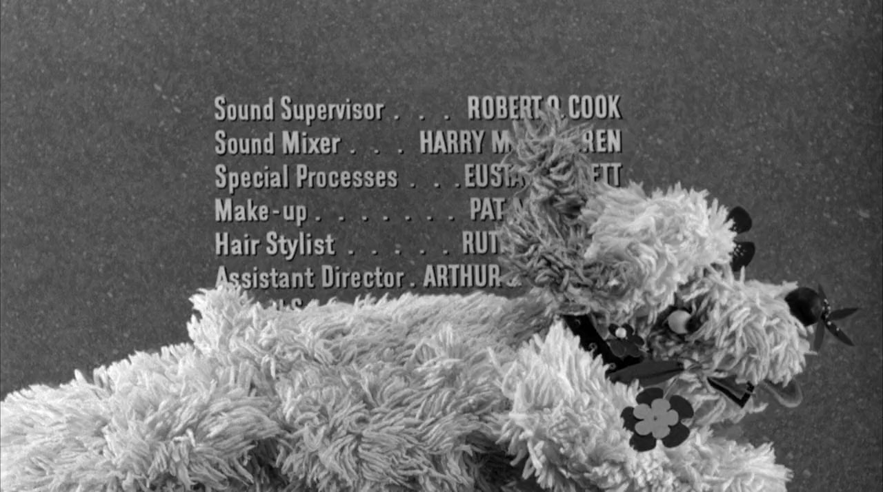 The Shaggy Dog screenshot 2
