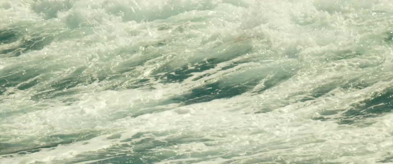 The Shallows screenshot 2