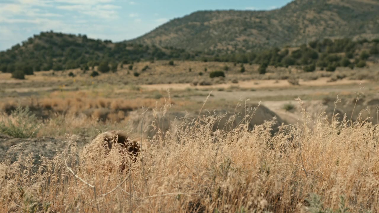 The Sheriffs of Savage Wells screenshot 3