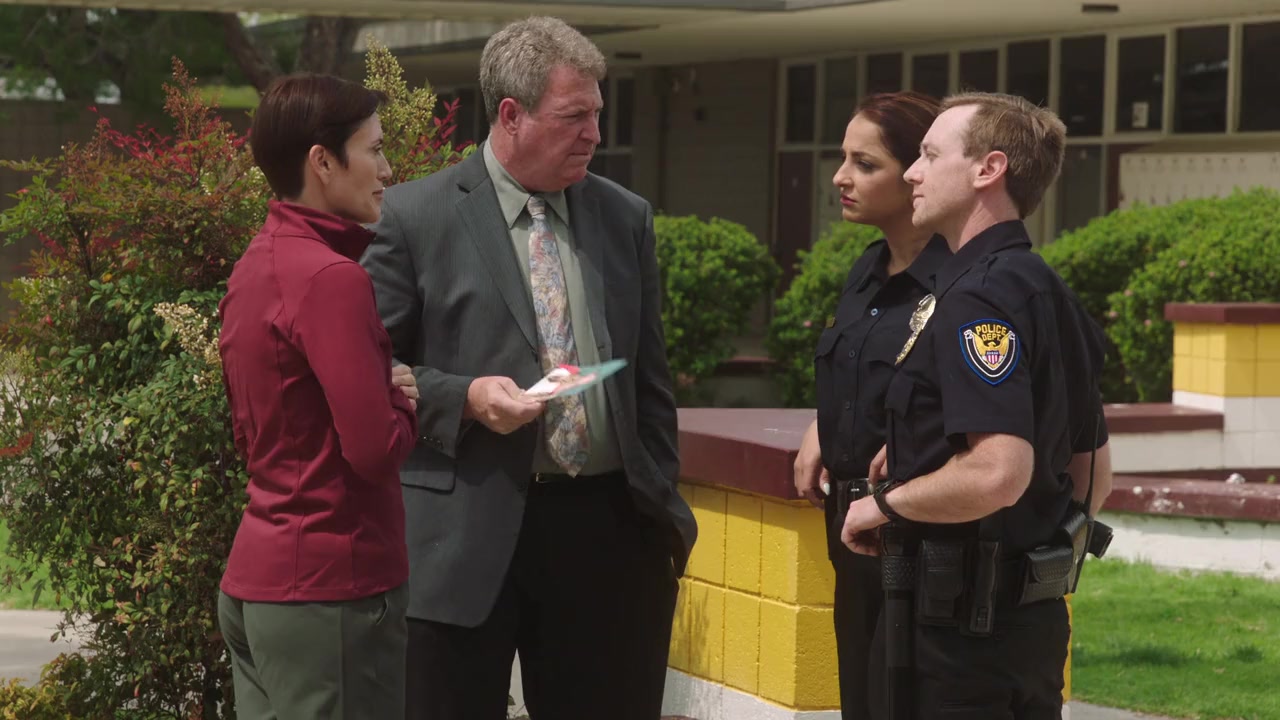Stealing in Suburbia screenshot 2