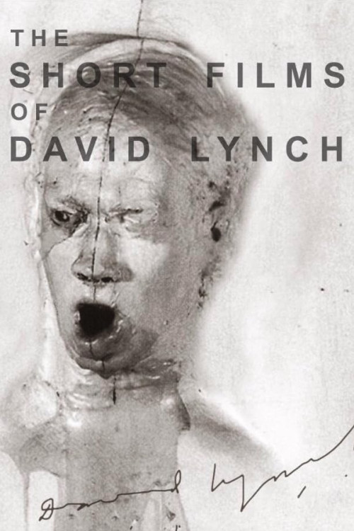 The Short Films of David Lynch (2002) poster