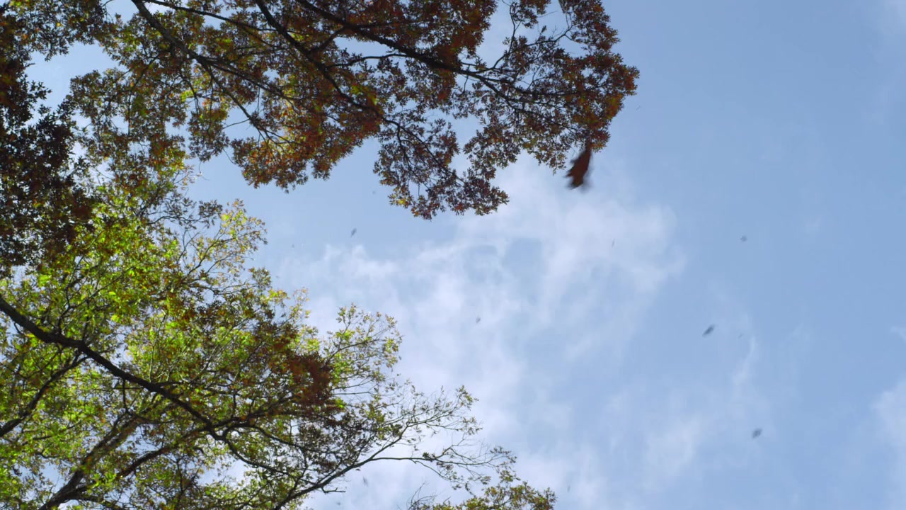 The Shunning screenshot 2
