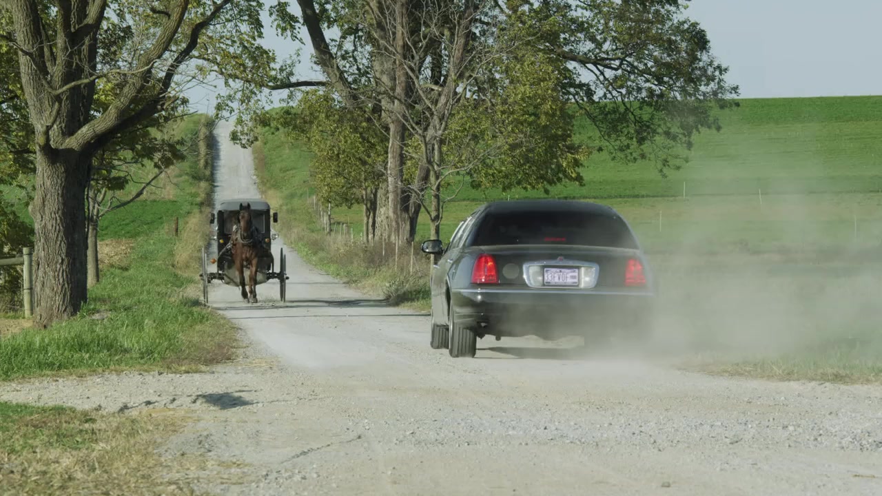The Shunning screenshot 3