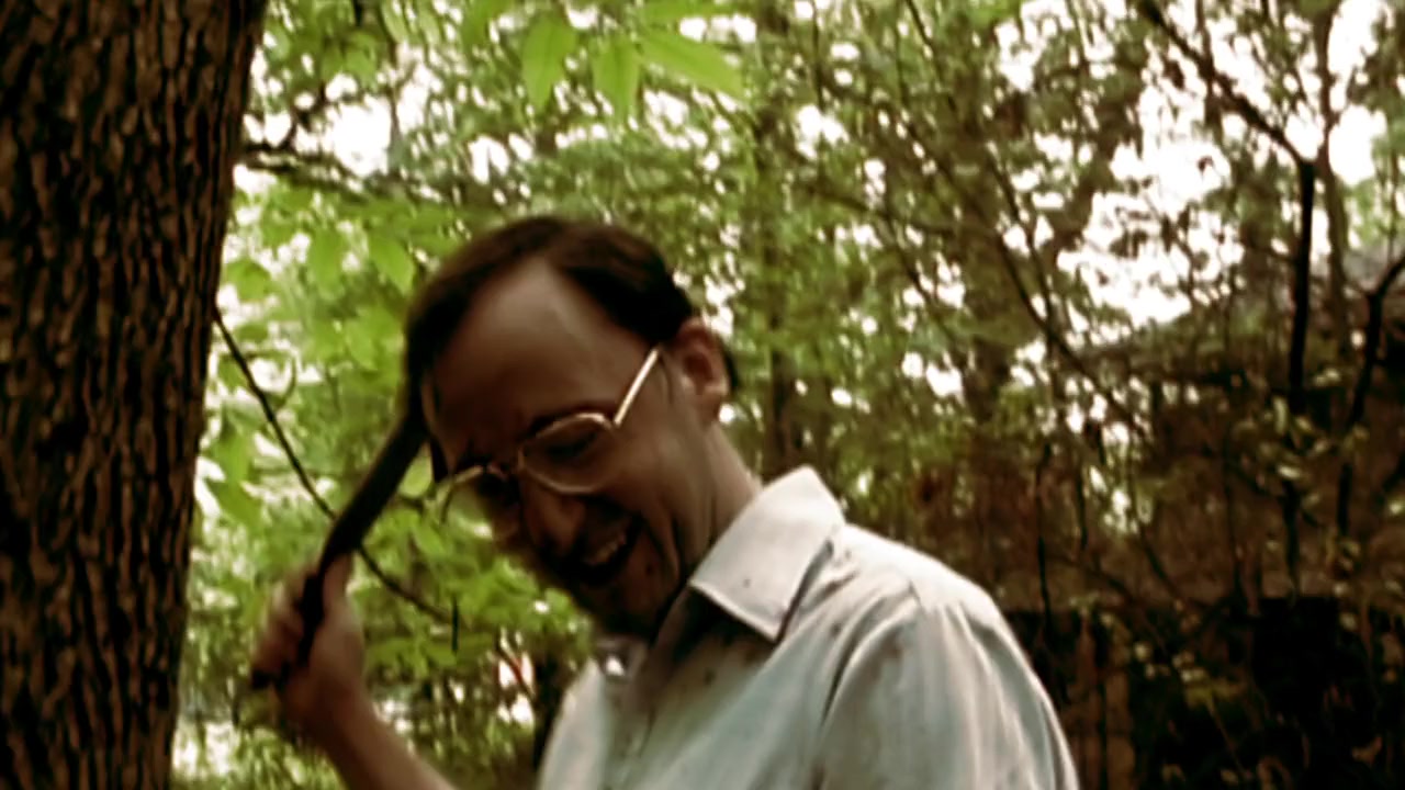 The Signal screenshot 1