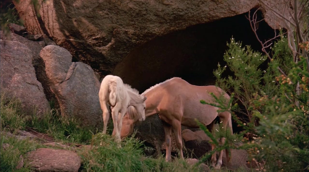 The Silver Brumby screenshot 1