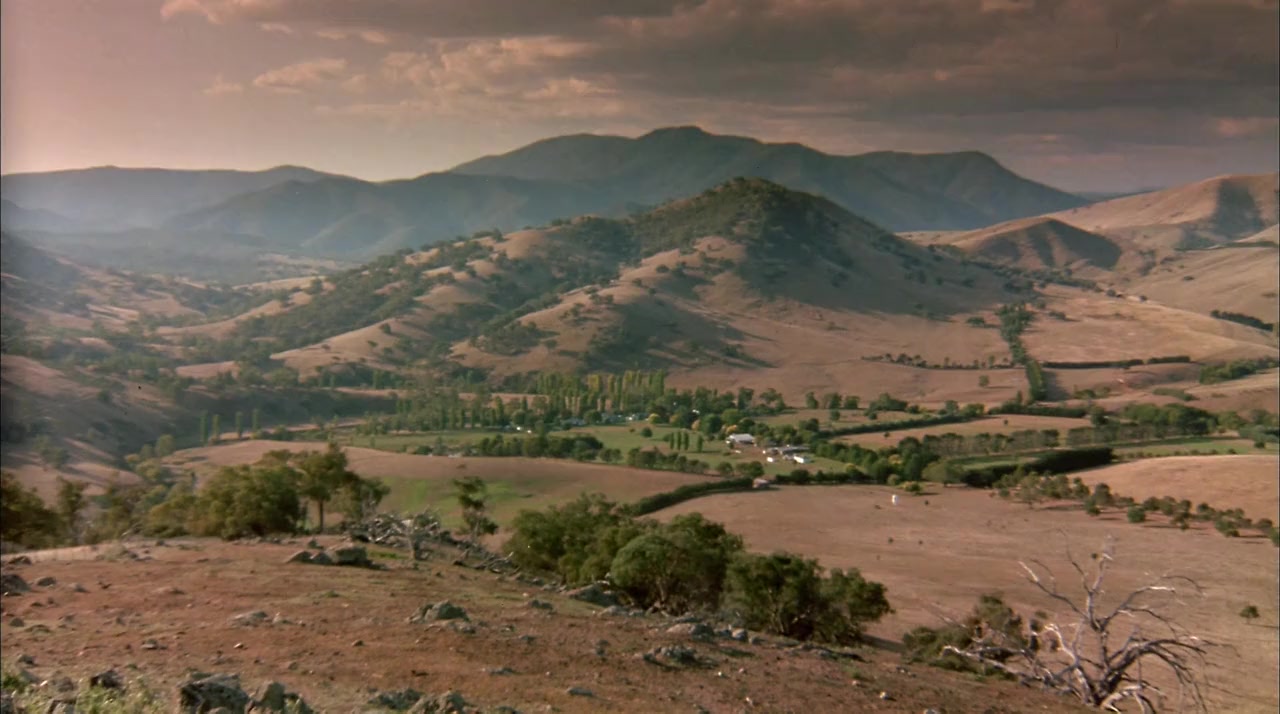 The Silver Brumby screenshot 2