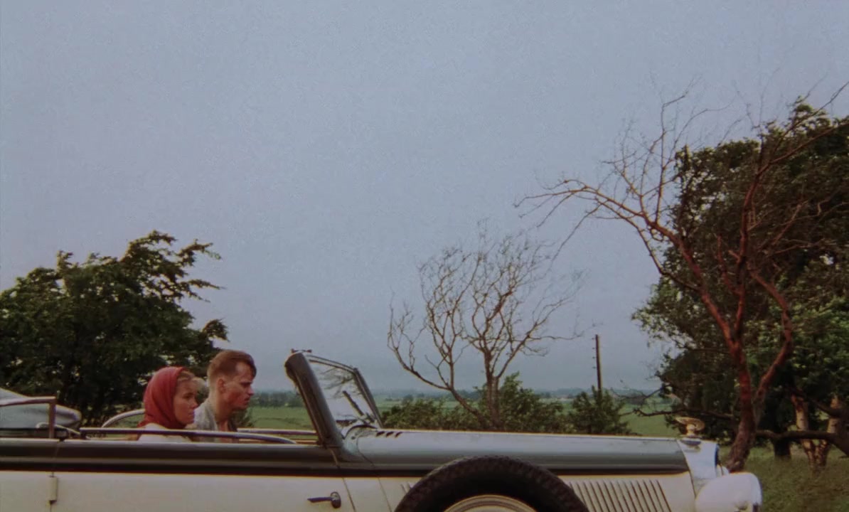 Den enfaldige mördaren screenshot 3